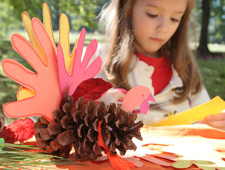 c42e9cc0-0da2-48d1-a423-1ad0dad618be04-tg-fun-things-pinecone-turkey