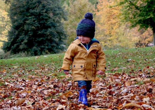 happy-autumn-fall-child-season-cute-outdoor-1031171